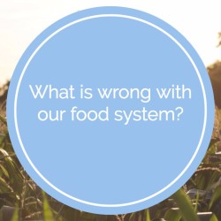 food system