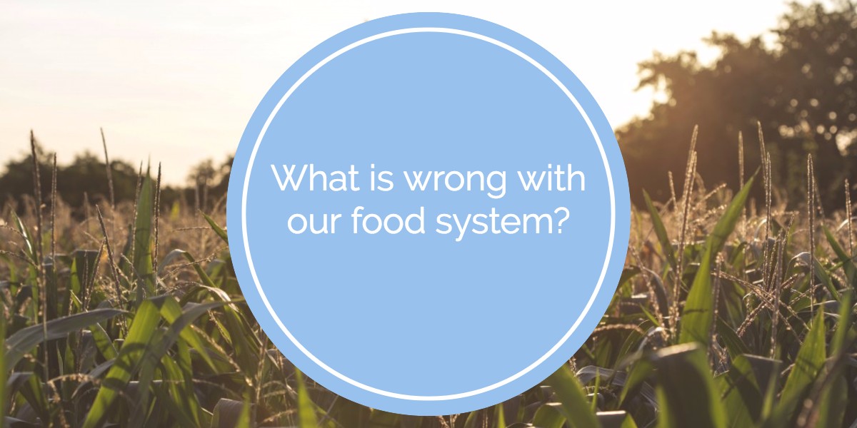 food system